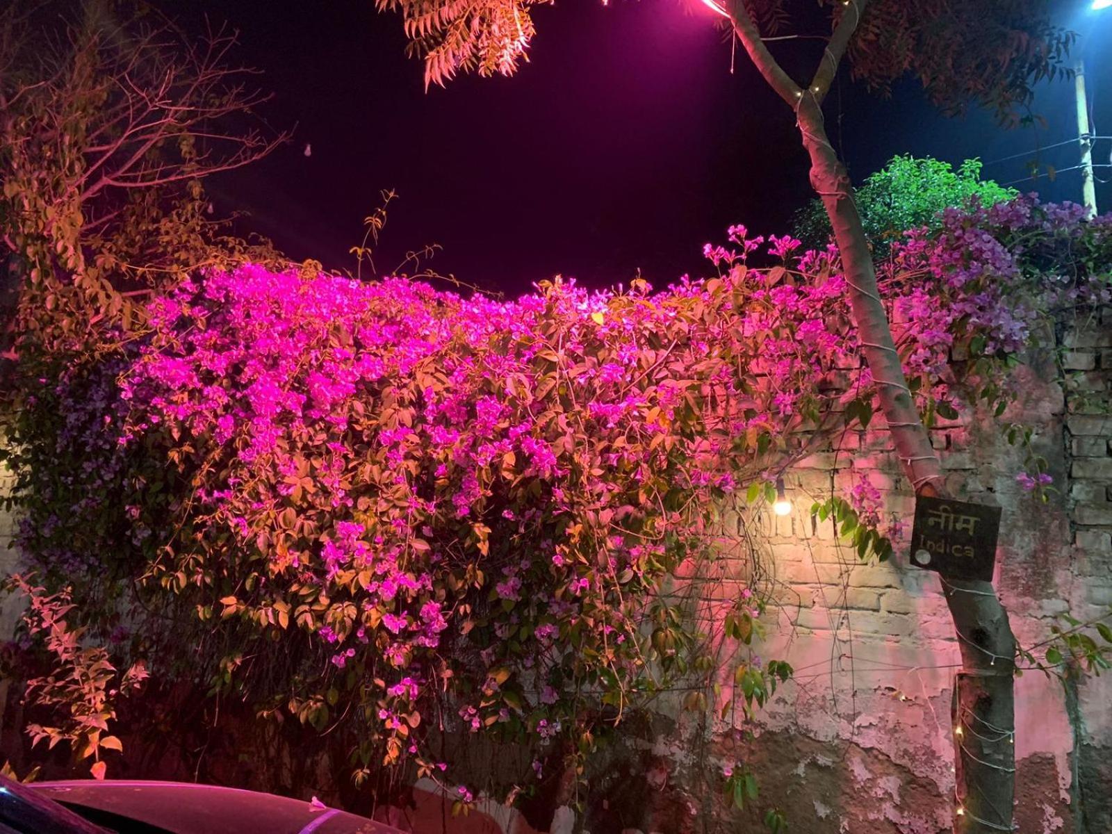 Nature Resort Agra  Exteriér fotografie
